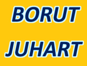 CENTRALNE KURJAVE IN VODOVODNE INŠTALACIJE BORUT JUHART S.P. 